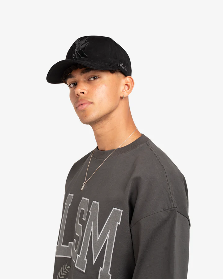 DOVE LOGO SUEDE CAP - Image 4