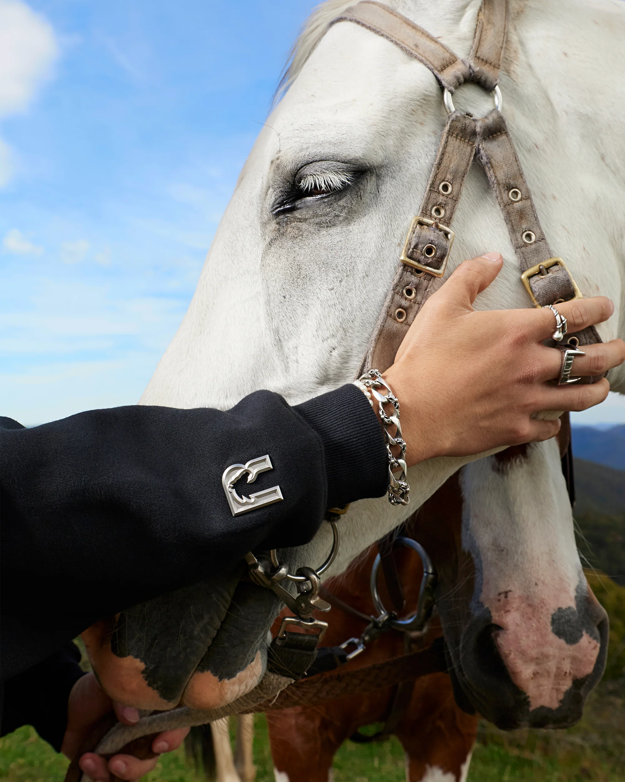 HORSE LOGO HOODIE BLACK - Image 8